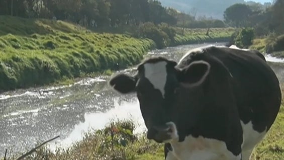 Foto: NoticiasRCN.com