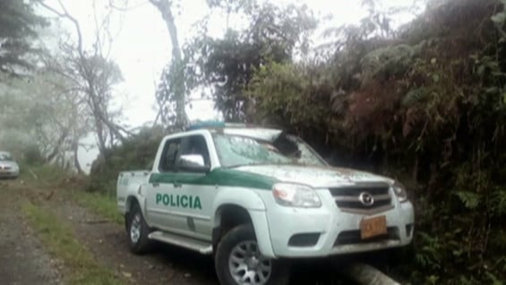 Por información que conduzca a los autores del hecho se ofrece una recompensa de 50 millones de pesos. Foto: RCN.