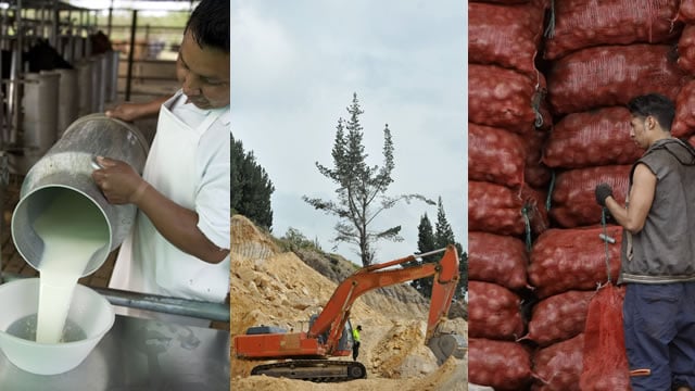 Precio de fertilizantes, decomiso de la maquinaria e importación de leche entre las razones. Foto: AFP