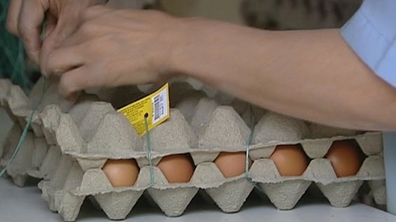 El aumento del precio del huevo y el pollo se siente más en algunas regiones del país. Foto: Noticias RCN.