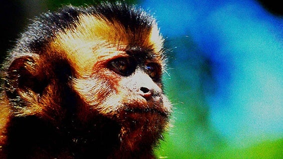 Foto: Catalina Torres / Unimedios.