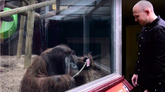 Foto: @mattgmagic (Facebook).