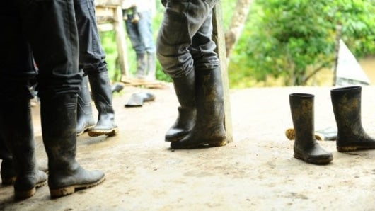 El 10 de septiembre empezará la entrega de los menores a la Unicef.