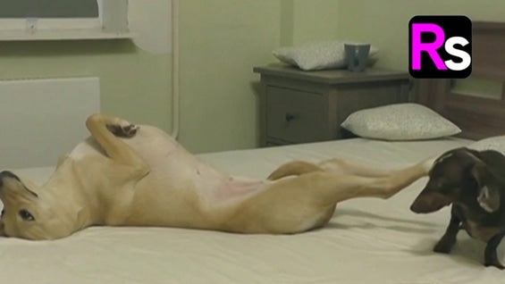 Foto: NoticiasRCN.com