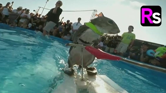 Foto: NoticiasRCN.com