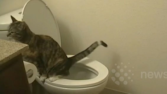 Foto: NoticiasRCN.com