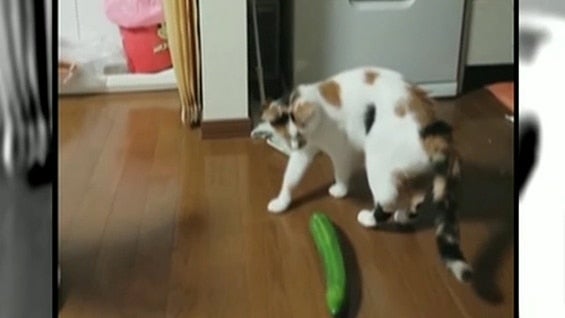 Foto: NoticiasRCN.com