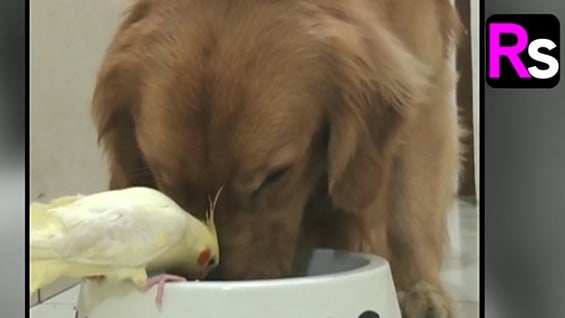 Foto de archivo. AFP.