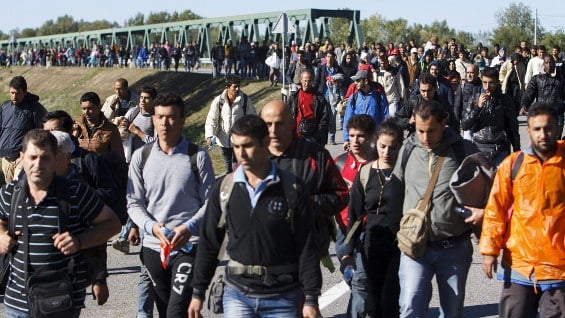 Hungría se ha convertido en punto de entrada de los refugiados que buscan llegar a Europa. Foto: EFE.