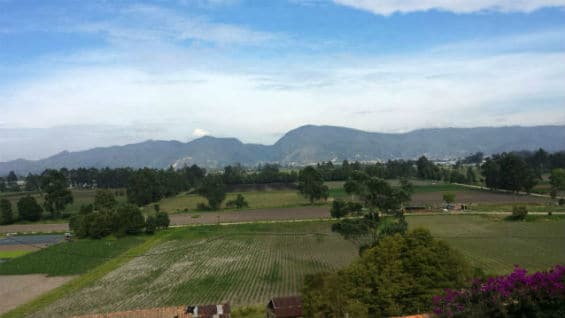 La reserva forestal Van Der Hammen, al norte de Bogotá. Foto Secretaría de Ambiente