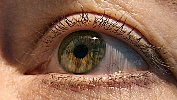 La investigación se llevará a cabo con retinas de pacientes con párkinson fallecidos. Foto: AFP.