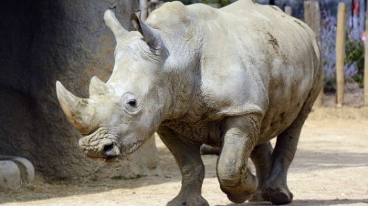 Foto: referencia AFP