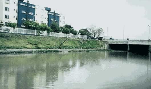 Los problemas que aquejan al río deben ser solucionados en un máximo de 30 años.