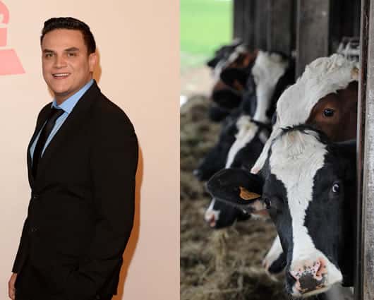 El robo de las 250 vacas de Silvestre Dangond, podría resultar falso. Foto: AFP