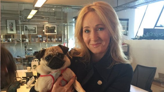 twitter.com/jk_rowling