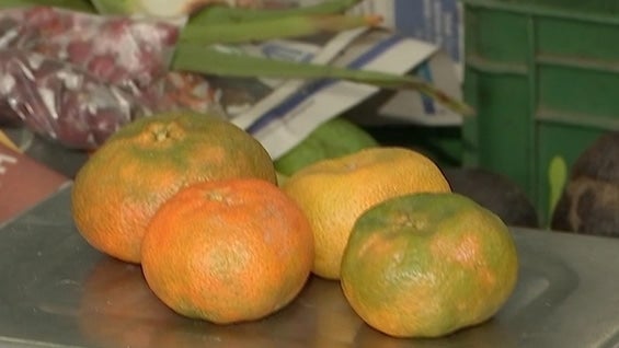 Foto: NoticiasRCN.com