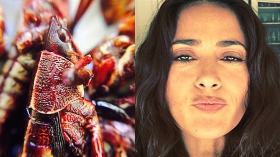 Desde su publicación, el video se volvió viral en las redes sociales.