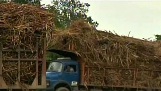 Según la Superindustria, los sancionados obstruían la importación de azúcar desde Bolivia, Guatemala, El Salvador y Costa Rica. Foto: Noticias RCN.