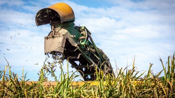 Fueron sancionados Asocaña, 12 ingenios y 14 directivos. Foto: FreeImages
