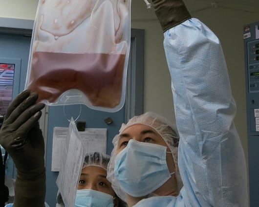 La técnica está diseñada para afectar al gen CCR5, usado por el VIH para infectar los glóbulos blancos. Foto: Universidad de Pensilvania