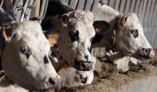 El desabastecimiento de agua afecta a 25 municipios del país. Foto: AFP