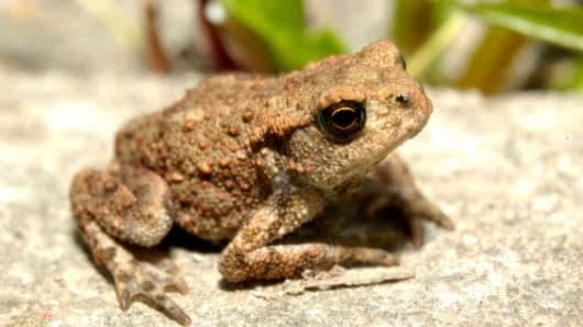 Foto:Archivo.NoticiasRCN.com