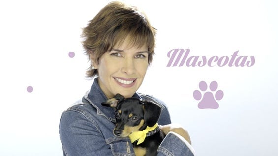 Estreno este 5 de septiembre. Foto: Canal RCN