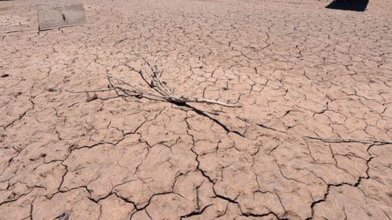 El Ideam advirtió sobre la disminución en el contenido de humedad atmosférica. Foto: AFP.