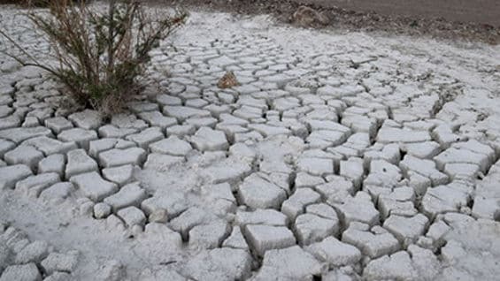 La superintendencia adelantará acciones de control. Foto: AFP.