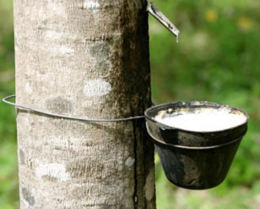 De esta forma obtienen el liquido. Foto: Noticias RCN.