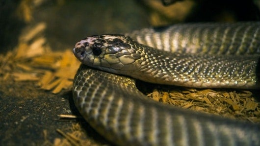 Foto: referencia Freepik