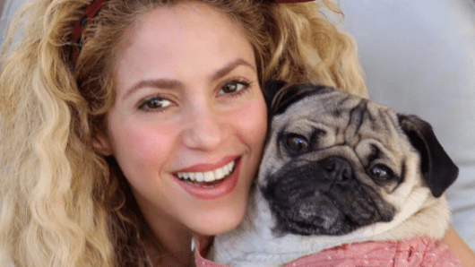 Cantante colombiana Shakira