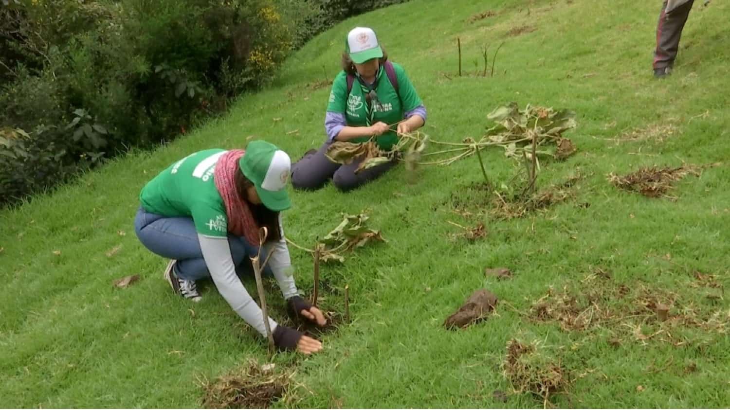 Foto: NoticiasRCN.com