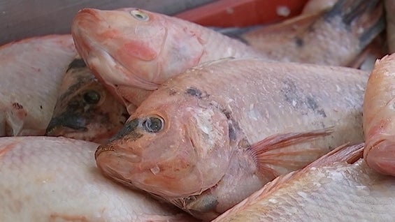 Foto NoticiasRCN.com