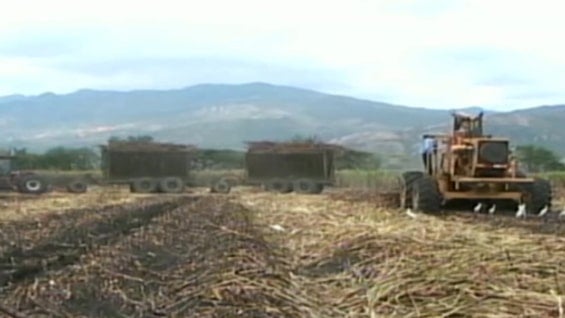 Foto: NoticiasRCN.com