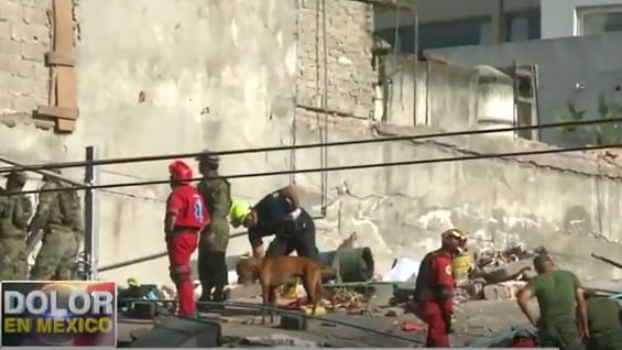 Brigadas de socorristas trabajan en la remoción de escombros. Foto:Captura de vídeo NoticiasRCN