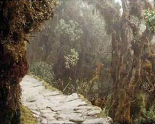 Sistema vial andino prehispánico. Foto: @UNESCO_es.