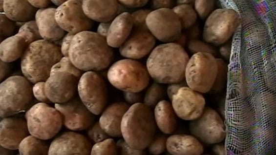 A la pérdida de los cultivos se suma la de verduras, pastos, frutales y hortalizas en esta región del país. Foto Noticias RCN