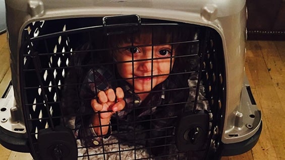 Foto: sofiavergara (Instagram)