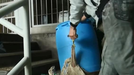 En el recorrido el alimento se derrama y está expuesto a todo tipo de bacterias.