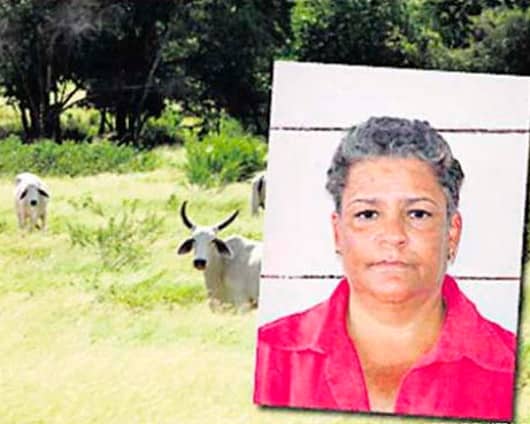 El operativo de captura se adelantó en el municipio de Jamundí (Valle del Cauca). Foto: Revista Semana.