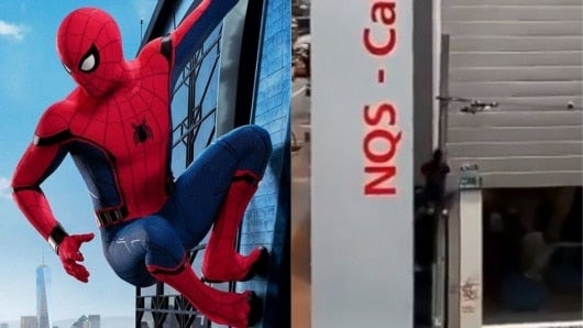 Hombre escala por un poste para rescatar una paloma enredada