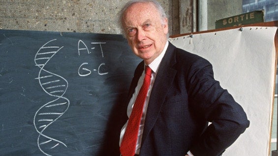 James Watson. Foto: AFP.