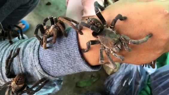 Reportaje de AFP para NoticiasRCN.com