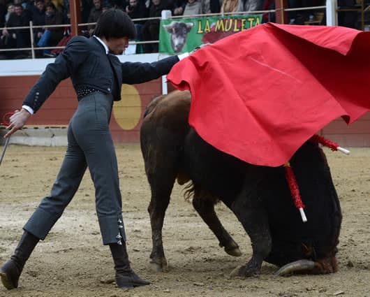 Las corridas de toros fueron prohibidas en 2012 por el alcalde Gustavo Petro. AFP