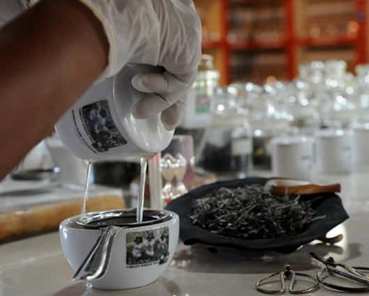 La compañía Honest Tea lideró la responsable de la iniciativa. Foto: AFP