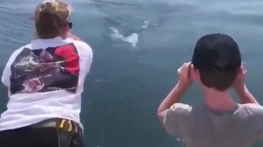 Foto tomada del video