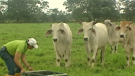 El esmeraldero Víctor Carranza y sus hombres se apoderaron de las tierras en la década de los 90. Foto: Noticias RCN.