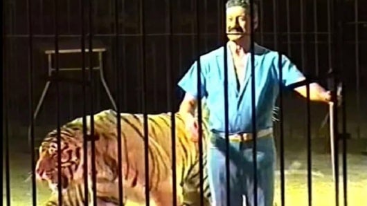 FOTO:Tigres matan a domador de circo
