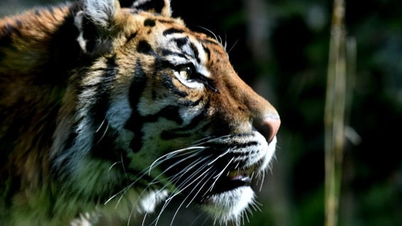 Foto de referencia. AFP.